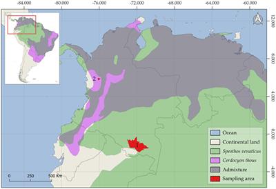 Neglected zoonotic helminthiases in wild canids: new insights from South America